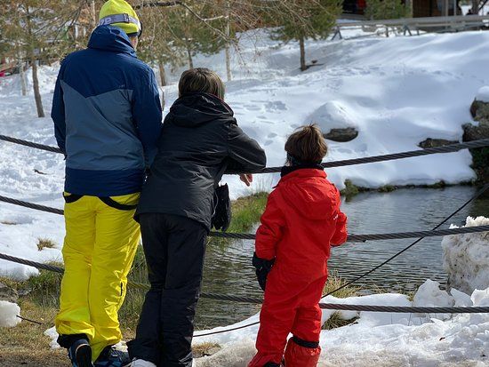 el Parque de Actividades Mirlo Blanco